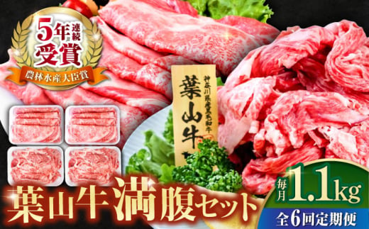 【全6回定期便】葉山牛満腹セット（肩ロースすき焼用250g×2＋切落し300g×2） 小分け 牛肉 すきやき 冷凍 切り落とし 横須賀 計1.1kg【株式会社羽根】 [AKAG043] 1529342 - 神奈川県横須賀市