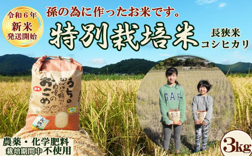 【令和６年新米】孫のために作りました！田代農園の『特別栽培米』《玄米》３kg　[0010-0159] 402348 - 千葉県鴨川市