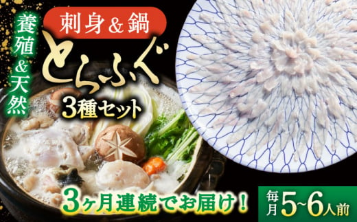 【3回定期便】南島原ふぐ三昧コース ５〜6人前 / ふぐ フグ 河豚 トラフグ ふぐ刺し / 南島原市 / 大和庵 [SCJ032] 1441402 - 長崎県南島原市