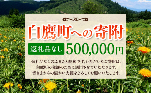 白鷹町への寄附（返礼品はありません） 500,000円 山形県 白鷹町 返礼品なし 1442258 - 山形県白鷹町