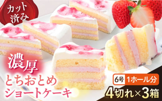 ドルチェケーキ とちおとめショート ケーキ 計12個（4個×3箱）【ファミール製菓株式会社】 [AKCI022] 1529325 - 神奈川県横須賀市