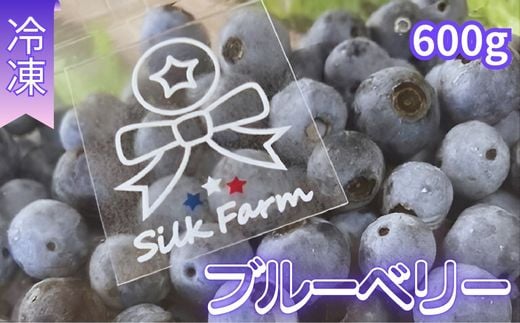 シルクファーム産　冷凍ブルーベリー600g（300g×2パック） 1438980 - 埼玉県加須市