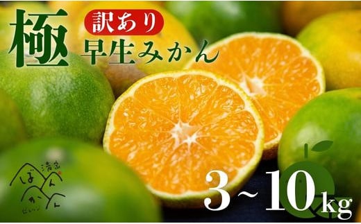 [選べる]訳あり 愛媛みかん ( 極早生 ) 3kg・5kg・10kg[発送時期:9月下旬〜10月下旬]2S-Lサイズ サイズミックス 愛媛みかん 温州みかん 一番みかん 柑橘 みかん 少量 お試し 試供品 5000円 愛媛県 愛南町 清家ばんかんビレッジ