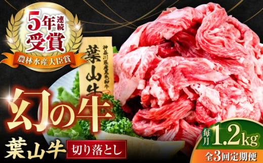 【全3回定期便】葉山牛 切り落とし300g×4パック 小分け 牛肉 切り落とし 横須賀 冷凍  計1.2kg【株式会社羽根】 [AKAG033] 1529332 - 神奈川県横須賀市