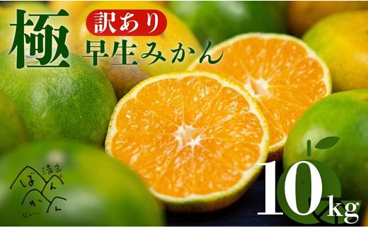 訳あり 極早生 愛媛みかん 10kg 2S から L サイズ サイズミックス 愛媛みかん 温州みかん 柑橘 愛媛 みかん こたつ みかん mikan 蜜柑 ミカン 産地直送 国産 農家直送 糖度 期間限定 数量限定 特産品 ゼリー ジュース アイス 等に 人気 甘い フルーツ 果物 柑橘 ビタミン 健康 美味しい おいしい ジューシー  愛媛県 愛南町 清家ばんかんビレッジ