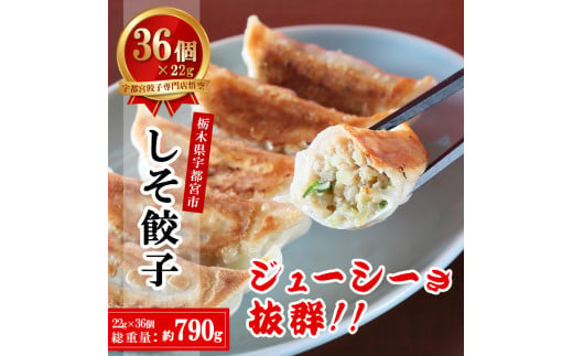 宇都宮餃子専門店 悟空 しそ餃子 22g×36個入｜餃子 冷凍 ぎょうざ ギョーザ 惣菜 国産野菜 国産豚肉 おかず 弁当 晩酌 おつまみ お取り寄せ グルメ 簡単調理 お手軽 時短 冷凍食品 栃木県 宇都宮市 ※離島への配送不可 1442371 - 栃木県宇都宮市