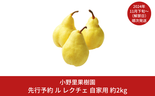 【先行予約】ル レクチェ 自家用 約2kg(5～7個) ル・レクチェ  新潟県産 洋梨 [小野里果樹園] 【010S392】 1043433 - 新潟県三条市