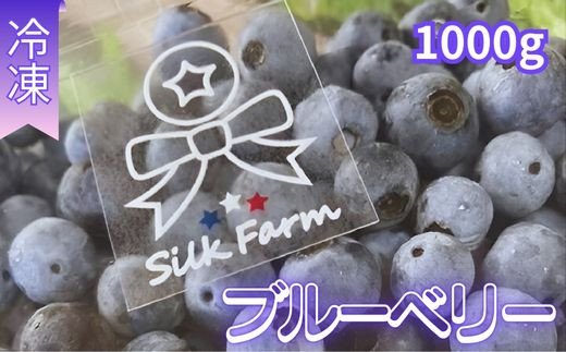 シルクファーム産　冷凍ブルーベリー1000g（500g×2パック） 1050273 - 埼玉県加須市