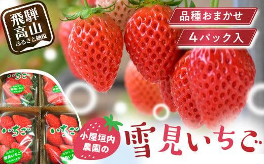 【2026年先行予約】雪見いちご 約200g×4パック | 糖度が高くてほどよい酸味 数量限定 イチゴ フルーツ 果物 いちご 品種おまかせ（紅ほっぺ／紅かおり／山天王）飛騨高山 小屋垣内農園 JA002 591730 - 岐阜県高山市