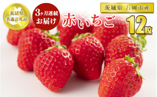 【定期便3ヶ月】赤いちご12粒【茨城県共通返礼品 石岡市】※2025年1月上旬～3月下旬頃に順次発送予定 1441862 - 茨城県守谷市