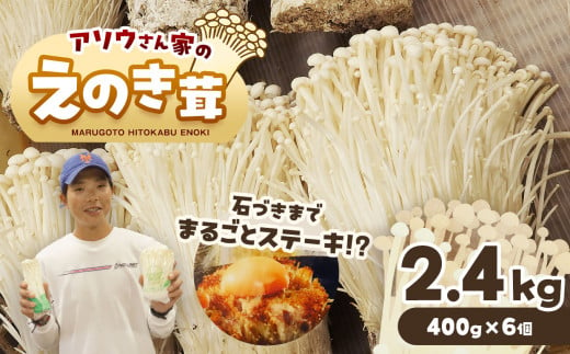 アソウさん家のえのき茸 400g×6個 ｜ 野菜 やさい きのこ キノコ えのき エノキ 大容量  400g 6個 熊本県 玉名市 1457679 - 熊本県玉名市