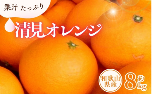 清見オレンジ約8kg/果実サイズおまかせ ※2025年2月中旬～2025年4月下旬頃発送予定　紀伊国屋文左衛門本舗【kztb401B】 763832 - 和歌山県古座川町