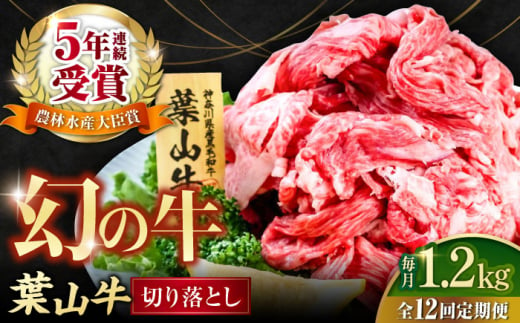 【全12回定期便】葉山牛 切り落とし300g×4パック 国産牛 牛肉 切り落とし 高級和牛 冷凍 黒毛和牛 国産 希少品種 小分け 横須賀 すき焼き すきやき ぎゅうにく きりおとし 大容量 神奈川銘品 計1.2kg【株式会社羽根】 [AKAG035] 1529334 - 神奈川県横須賀市