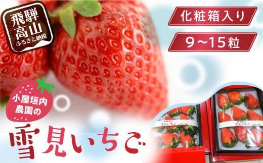 【2026年先行予約】大粒 雪見いちご 1箱（9-15粒／化粧箱入り）| 糖度が高くてほどよい酸味 数量限定 イチゴ フルーツ 果物 いちご 品種おまかせ（紅ほっぺ／紅かおり／山天王）飛騨高山 小屋垣内農園 JA001 591729 - 岐阜県高山市