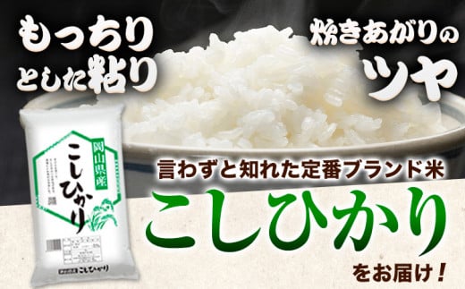 新米 令和6年産 こしひかり 白米 20kg《30日以内に出荷予定(土日祝除く)》岡山県 浅口市 精米 米 送料無料 -  岡山県浅口市｜ふるさとチョイス - ふるさと納税サイト