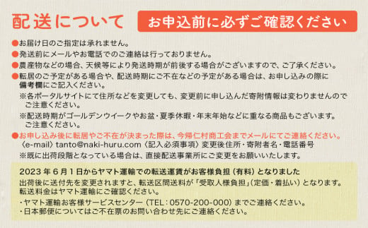 沖縄県今帰仁村のふるさと納税 今帰仁マンゴーA級2kg【先行予約】【2025年6月中旬～7月頃発送】生産者直送