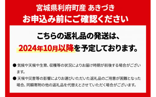 宮城県利府町のふるさと納税 数量限定 利府梨（あきづき）約5kg（10玉前後）