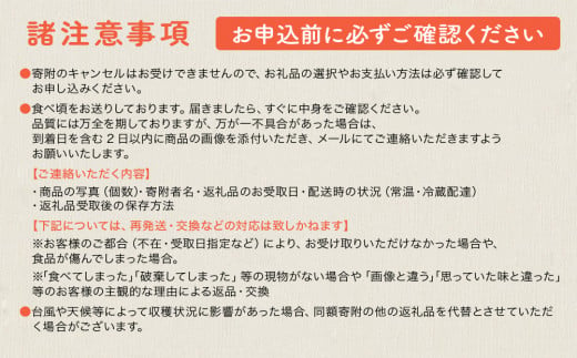 沖縄県今帰仁村のふるさと納税 今帰仁マンゴーA級2kg【先行予約】【2025年6月中旬～7月頃発送】生産者直送