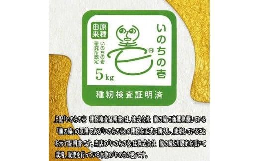 令和6年産【精米】いのちの壱 5kg農家直送『氷河米』 AG ＜アグレスト＞ - 山形県酒田市｜ふるさとチョイス - ふるさと納税サイト