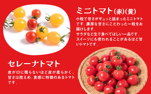 この中から厳選したトマトを4種お届けします！何が届くかはお楽しみに♪