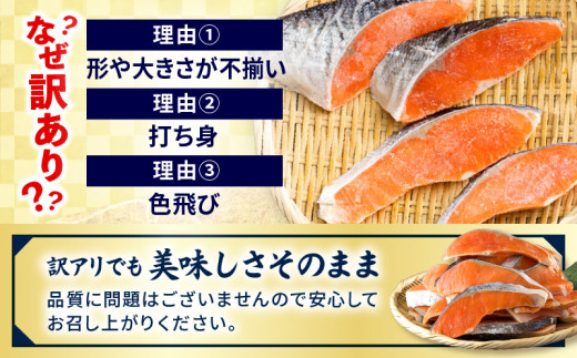 宮崎県宮崎市のふるさと納税 【訳あり】銀鮭切り身2.8kg ｜ 銀鮭 鮭 さけ サケ 切り身 切身 目利き イチオシ お弁当 おかず サーモン 甘味 訳あり 塩味 一切れ 焼き魚 焼き鮭 小分け 不揃い 熟成 脂質 魚 養殖 鮮度 鮮度良好 和食 洋食 中華 幅広い 塩加減 自分好み 魚貝 魚介 魚介類 宮崎市 ｜ _M302-001