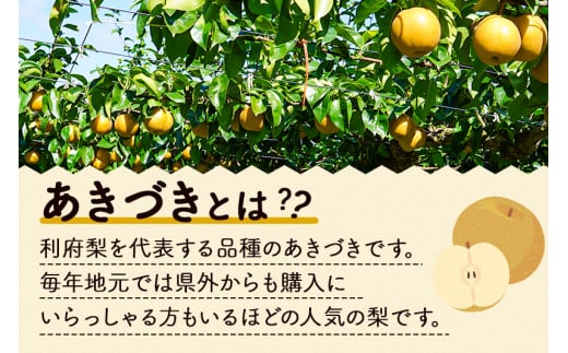 宮城県利府町のふるさと納税 数量限定 利府梨（あきづき）約5kg（10玉前後）