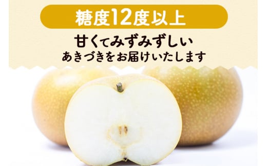 宮城県利府町のふるさと納税 数量限定 利府梨（あきづき）約5kg（10玉前後）