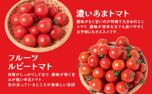 この中から厳選したトマトを4種お届けします！何が届くかはお楽しみに♪