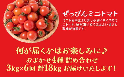この中から厳選したトマトを4種お届けします！何が届くかはお楽しみに♪