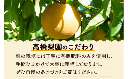 宮城県利府町のふるさと納税 数量限定 利府梨（あきづき）約5kg（10玉前後）