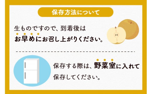 宮城県利府町のふるさと納税 数量限定 利府梨（あきづき）約5kg（10玉前後）