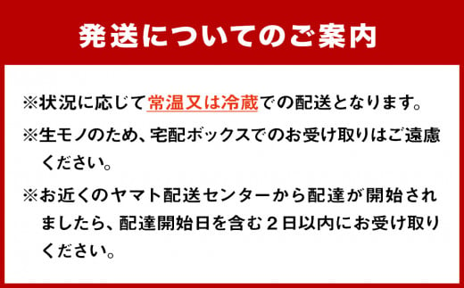 沖縄県今帰仁村のふるさと納税 今帰仁マンゴーA級2kg【先行予約】【2025年6月中旬～7月頃発送】生産者直送