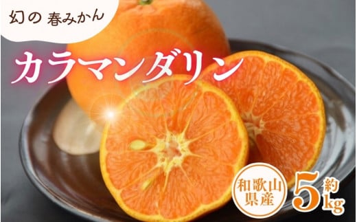 カラマンダリン 約5kg/サイズおまかせ ※2026年4月上旬~2026年5月上旬頃に順次発送予定(お届け日指定不可) 紀伊国屋文左衛門本舗【ntb470A】 2205270 - 和歌山県北山村