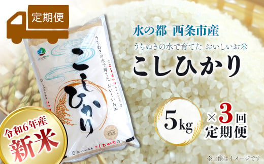 【定期便3ヶ月】 令和6年産 新米 西条産のお米 「コシヒカリ」（５kg）　こしひかり 米 精米 新米 5㎏ 定期便 3回 280475 - 愛媛県西条市