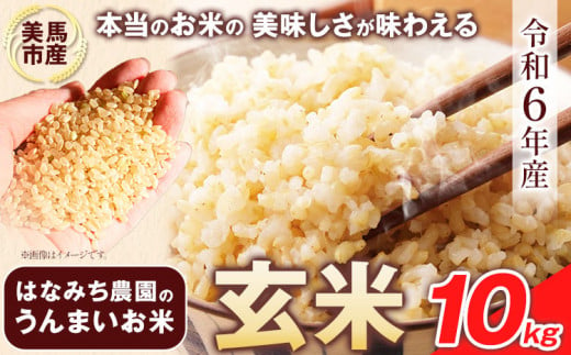 はなみち農園のうんまいお米・玄米 令和6年産 10kg 《30日以内に出荷予定(土日祝除く)》玄米 美馬市産 実森ラボラトリー株式会社 自家製小麦のお店mimori 送料無料 徳島県 美馬市 1150321 - 徳島県美馬市