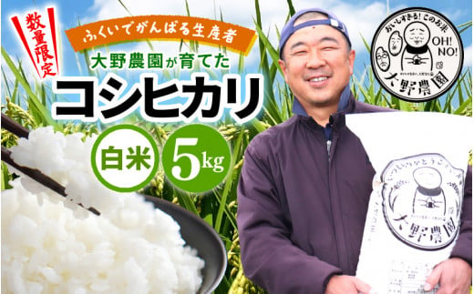 【先行予約】【令和6年産・新米】コシヒカリ 5kg 福井県美浜町 ふくいでがんばる生産者 大野農園が育てた こしひかり 【2024年10月中旬以降順次発送予定】 [m49-a001_10] 1460598 - 福井県美浜町