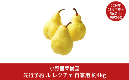 【先行予約】ル レクチェ 自家用 約4kg(9～12個) ル・レクチェ  新潟県産 洋梨 [小野里果樹園] 【017S042】 1043435 - 新潟県三条市