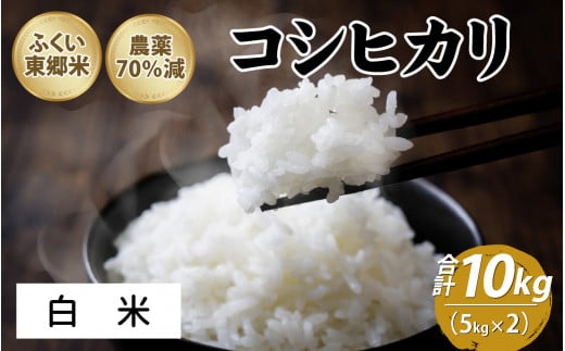 令和5年産 ふくい東郷米 特別栽培米 農薬70％減 コシヒカリ 10kg   5kg×2袋 【白米】 [B-020027_01]  1434243 - 福井県福井市