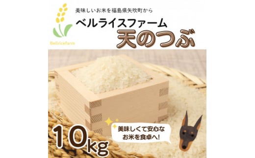 ＜令和6年産米先行受付＞農家直送 ベルライスファームの天のつぶ　精米10kg【1537653】 1445175 - 福島県矢吹町