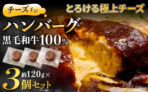 黒毛和牛100%チーズインハンバーグ(約120g×3Pセット)【FLOWER】_HA1547 1455120 - 福岡県宗像市