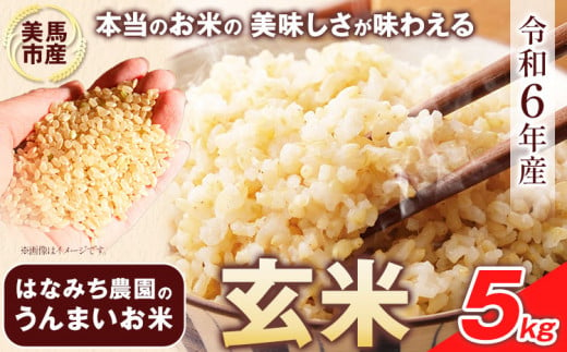 はなみち農園のうんまいお米・玄米 令和6年産 5kg [30日以内に出荷予定(土日祝除く)]玄米 美馬市産 実森ラボラトリー株式会社 自家製小麦のお店mimori 送料無料 徳島県 美馬市