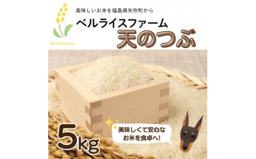 ＜令和6年産米先行受付＞農家直送 ベルライスファームの天のつぶ精米5kg【1537650】 1445174 - 福島県矢吹町