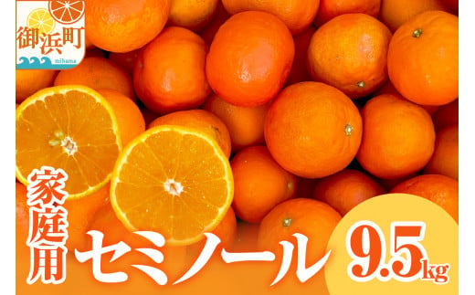ミカファームのセミノール9.5キロ(家庭用) 果物 フルーツ みかん セミノール 9.5kg 家庭用 三重県 御浜町 