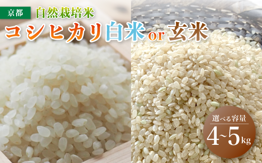 [令和6年度産 新米 ] 自然栽培米 こしひかり 5kg / 4kg (2kg×2) 白米 / 玄米 : 17,000〜20,000円 選べる 容量 精米方法 お米 コシヒカリ 京都産 舞鶴産 舞鶴コシヒカリ 舞鶴米 精米 米 農家直送 コメ ご飯 健康 農業 農家直送 京都 舞鶴 舞鶴市 ファーム271