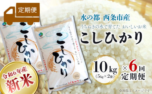 【定期便6ヶ月】 令和6年産 新米 西条産のお米 「コシヒカリ」（10kg）　こしひかり 米 精米 新米 10㎏ 定期便 6回 280478 - 愛媛県西条市