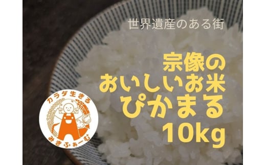 【定期便/毎月お届け/全6回】むなかた産 米 ぴかまる 10kg【みきふぁーむ】_HB0170 1455066 - 福岡県宗像市