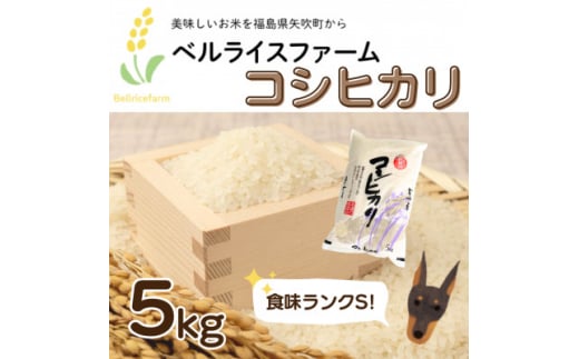 ＜農家直送 ベルライスファームのコシヒカリ精米5kg＞厳選された1.9ミリ お米の食味はSランク!【1536974】 1445173 - 福島県矢吹町