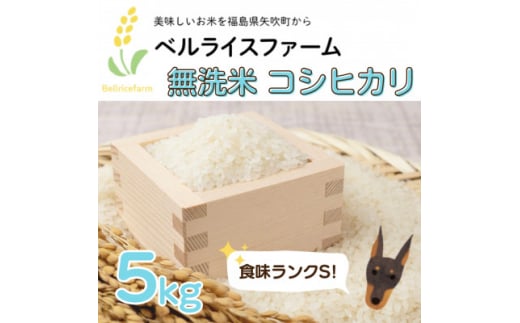 ＜R6年産先行受付＞農家直送 ベルライスファームのコシヒカリ無洗米5kg 1.9ミリ 食味ランクS【1537815】 1445176 - 福島県矢吹町