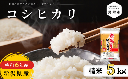 JAえちご中越指定米　R6年産 新潟産コシヒカリ　精米5kg 1425226 - 新潟県見附市