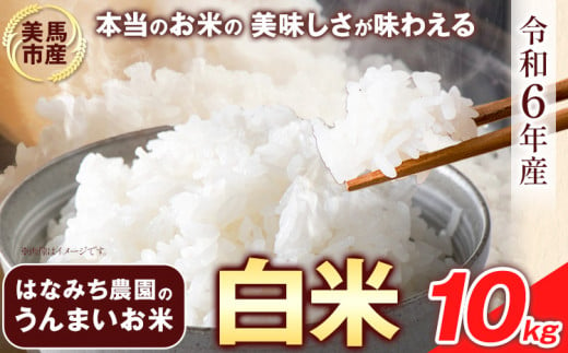 はなみち農園のうんまいお米・白米 令和6年産 10kg [30日以内に出荷予定(土日祝除く)]白米 美馬市産 実森ラボラトリー株式会社 自家製小麦のお店mimori 送料無料 徳島県 美馬市